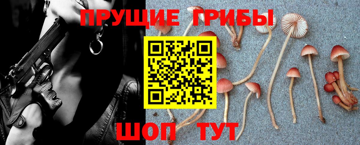 Орехово-Зуево  Псилоцибиновые грибы ЛСД  Псилоцибиновые грибы Psilocybe  Вход с VPN 